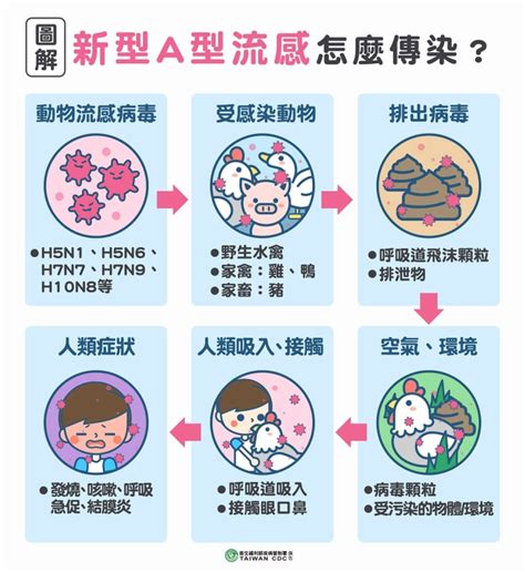 a流可以上班嗎|A型流感症狀？多久會好？會自己好嗎？A流與感冒差。